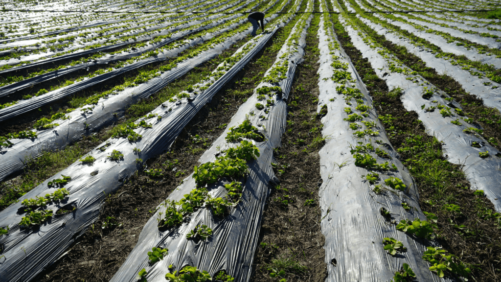 What’s Changed with Inheritance Tax Rules for Business and Farm Owners?