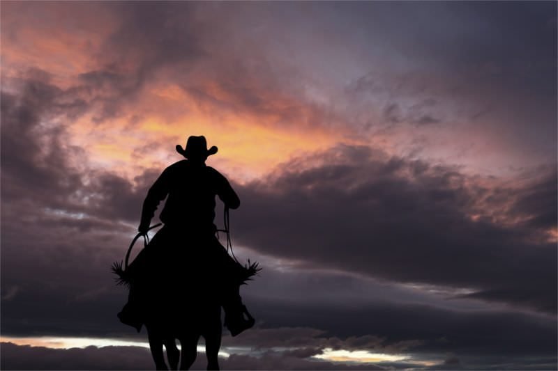 Cowboy